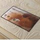 President 1500 Mattress