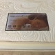 President 1500 Mattress